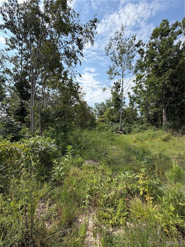 Property Photo: #136 Madison 410 MO 63645
