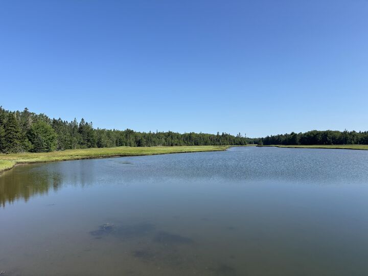 Property Photo: Lot 54 Pinkham Bay Bridge Road ME 04680