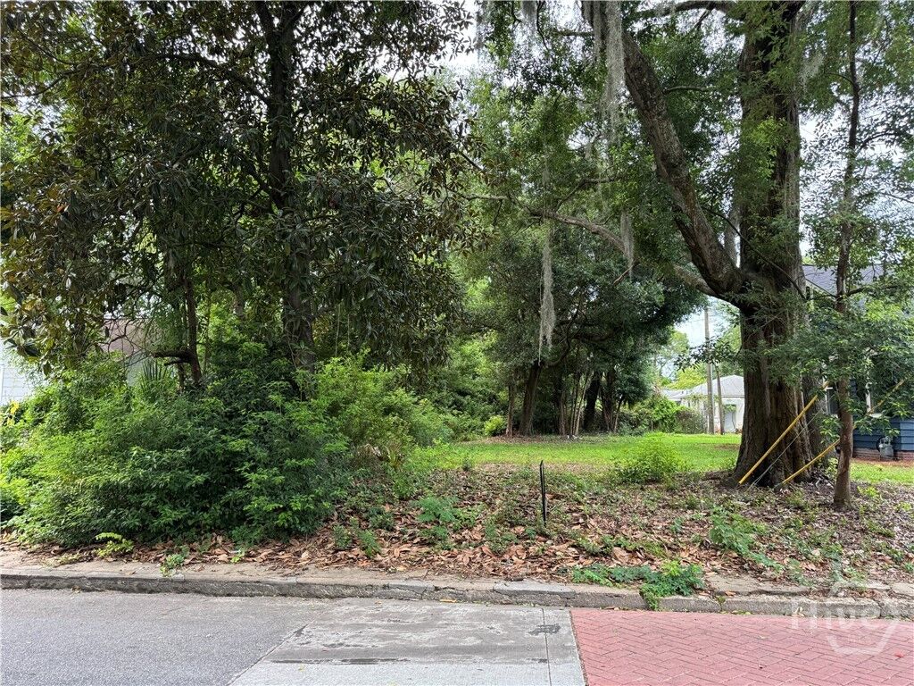 Property Photo:  503 Durant Avenue  GA 31404 