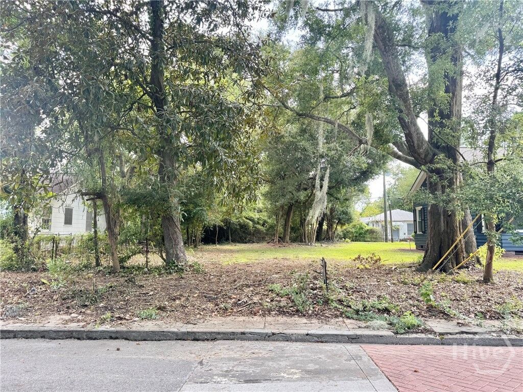 Property Photo: 503 Durant Avenue GA 31404