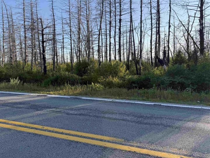 Property Photo:  Lot 28 Swaines Road  NS B0W 2S0 