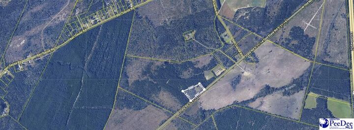 Property Photo:  Tbd Old #4 Highway  SC 29530 