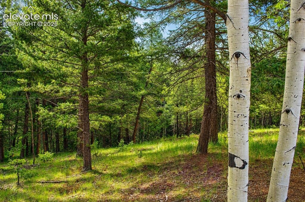 Property Photo:  123 Ellis Lake Circle  CO 80814 