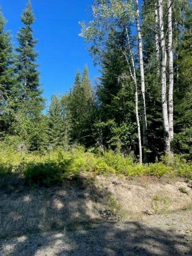 Property Photo:  3xx Lot 12 N Leclerc Rd  WA 99139 