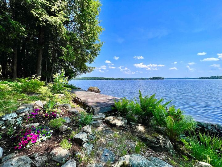Property Photo: 1 Cedar Island N/A ON P0B 1J0