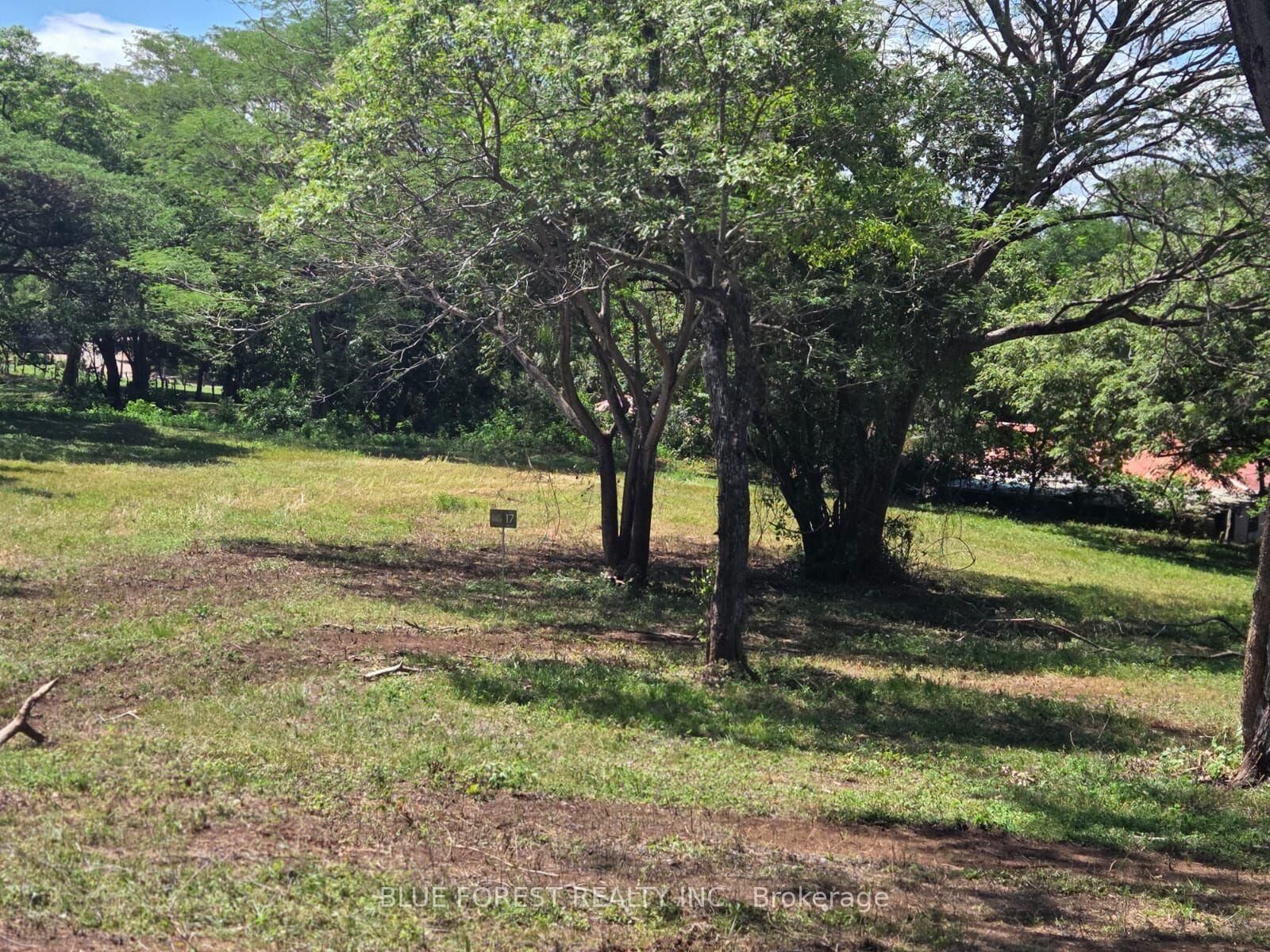 Property Photo:  Lot 29 Belen N/A    