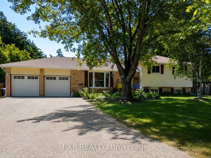 8245 Main Street — photo 1