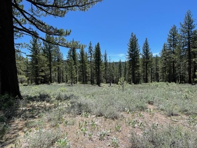 Property Photo: 019-080-028-0 Groundhog Rock CA 96125