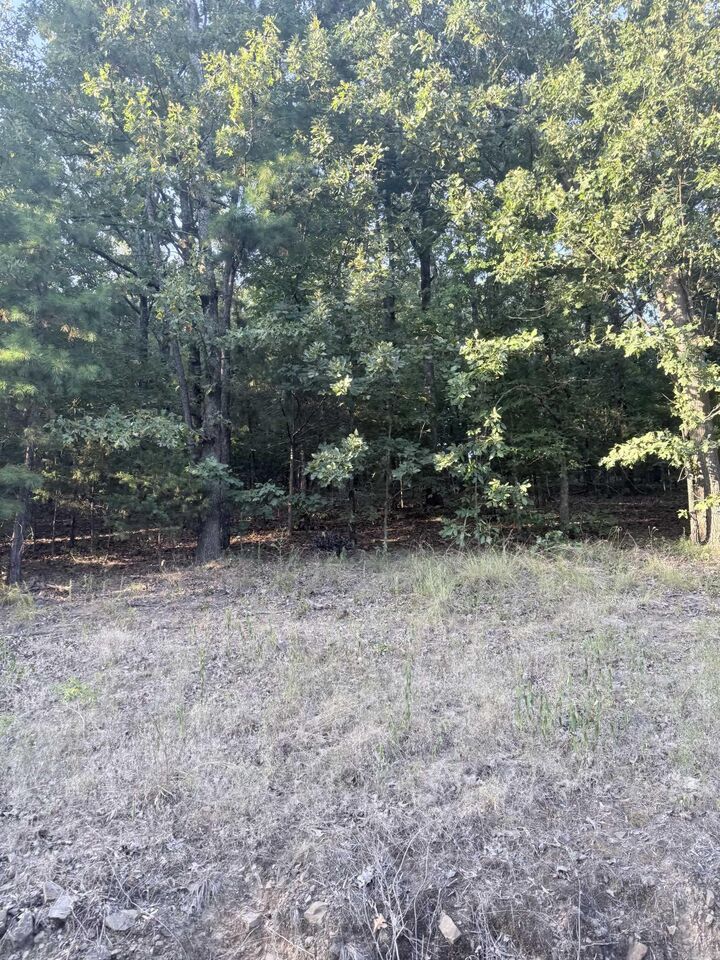 Property Photo:  Lot 13 Ridge  AR 72106 