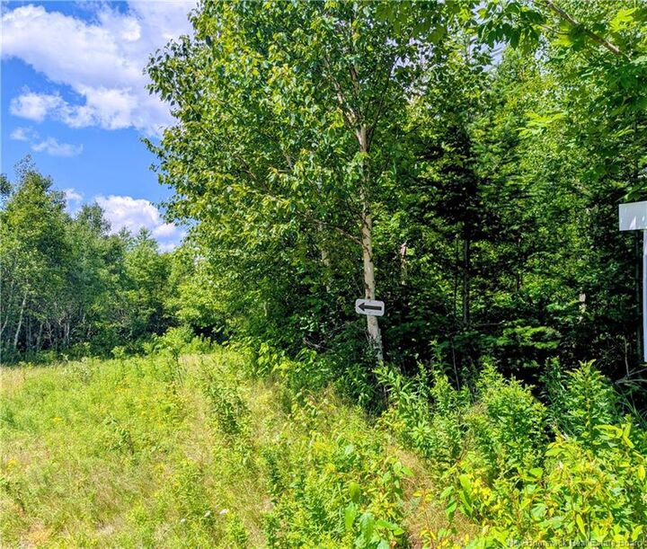 Lot 8 Golden Ridge Road — photo 1