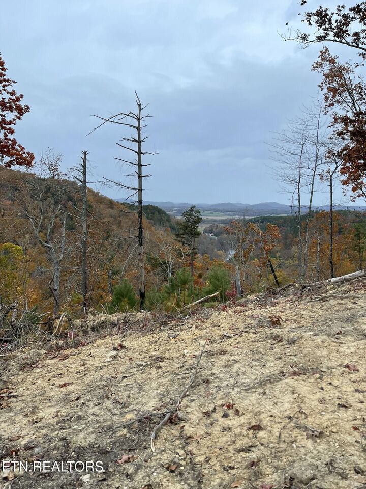 Property Photo:  157 Quarry Creek Rd Lot 5  TN 37385 
