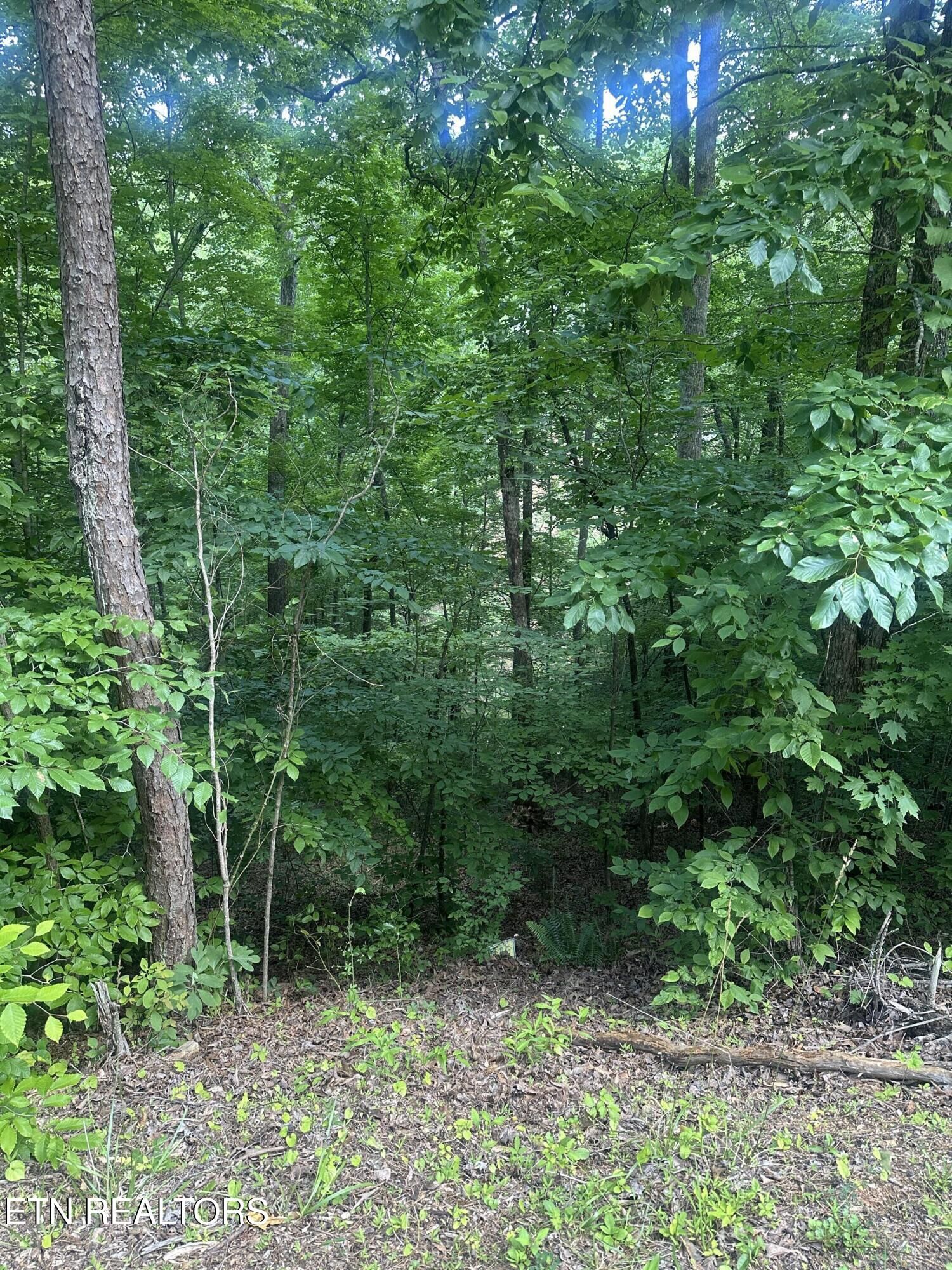 Property Photo:  Dogwood Tr  TN 37807 