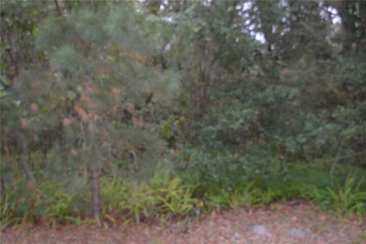 Property Photo:  0 Lincoln Street  FL 32771 