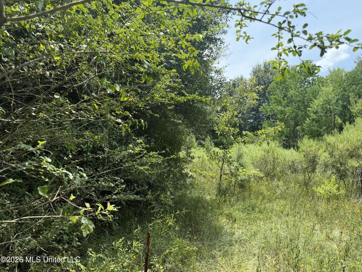 Property Photo: Stout Road MS 39110