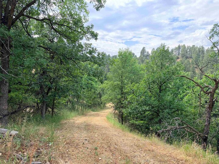 Property Photo:  Tbd Timberline Road  SD 57783-1120 