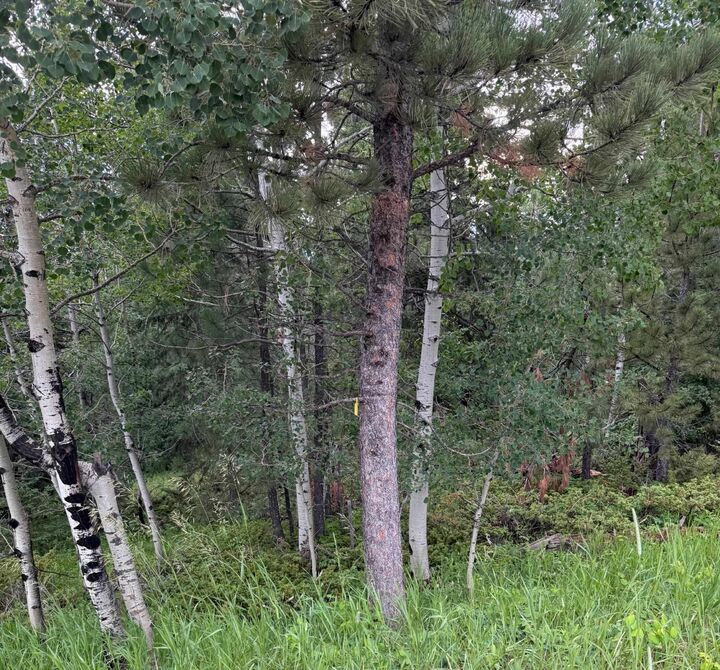 Property Photo:  Unknown  SD 57754 