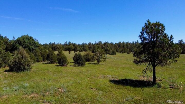 Property Photo:  21270 Spirit Mountain Drive  CO 81020 