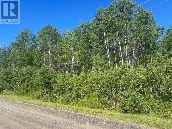 Property Photo:  0000 Penna Shaft Road  ON P0J 1P0 