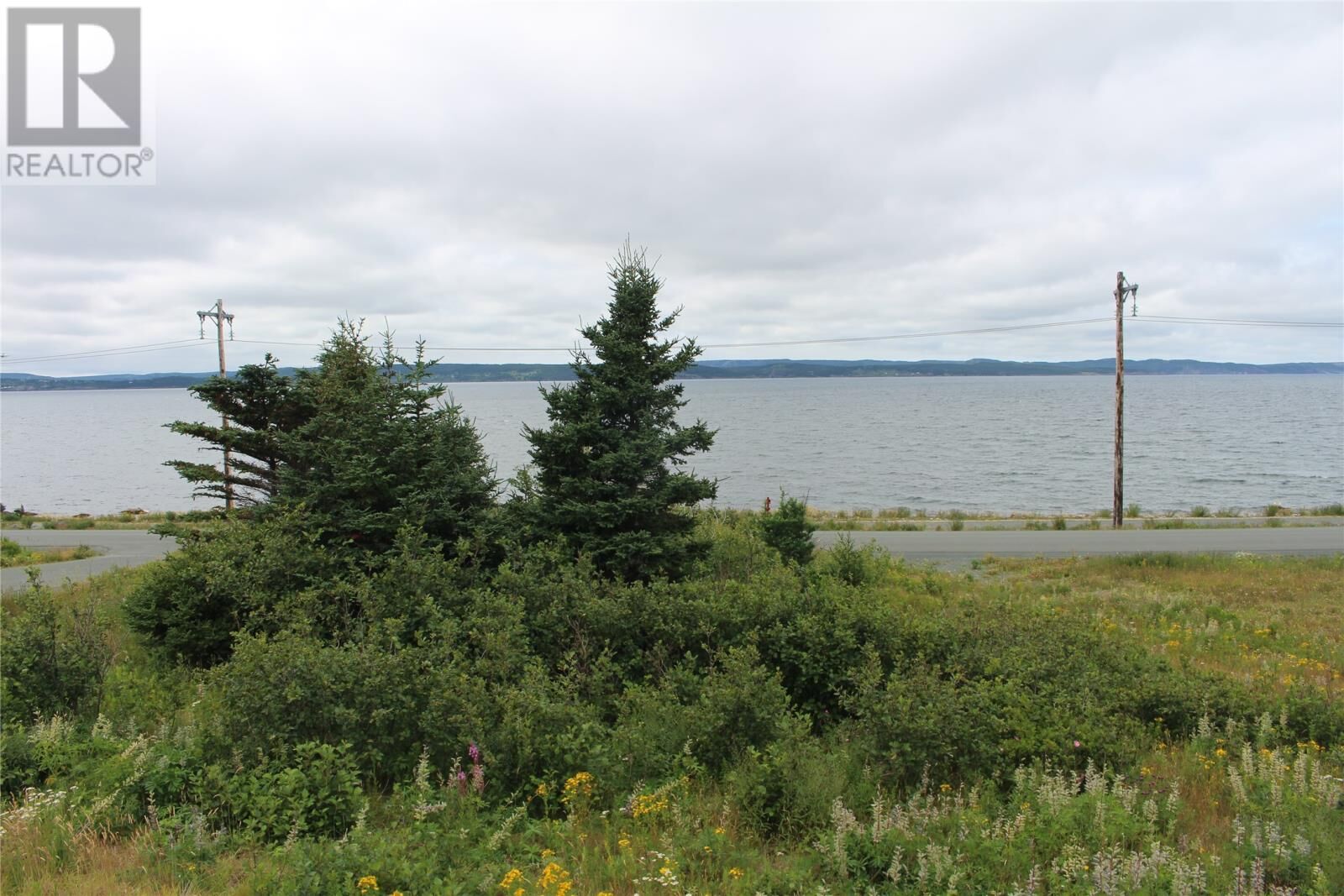 Property Photo:  289-291 Seal Cove Road  NL A1X 6S9 
