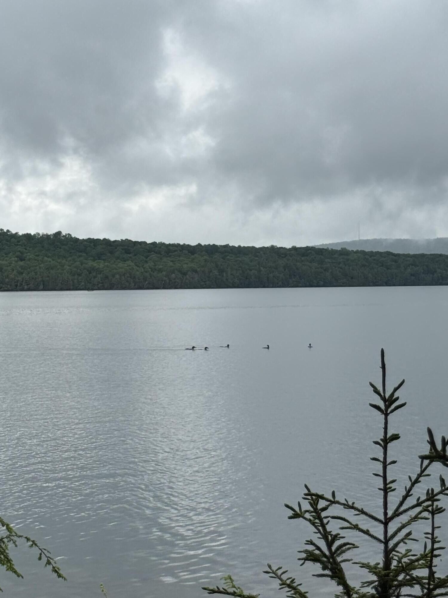Property Photo:  416 S Shore Road  ME 04747 