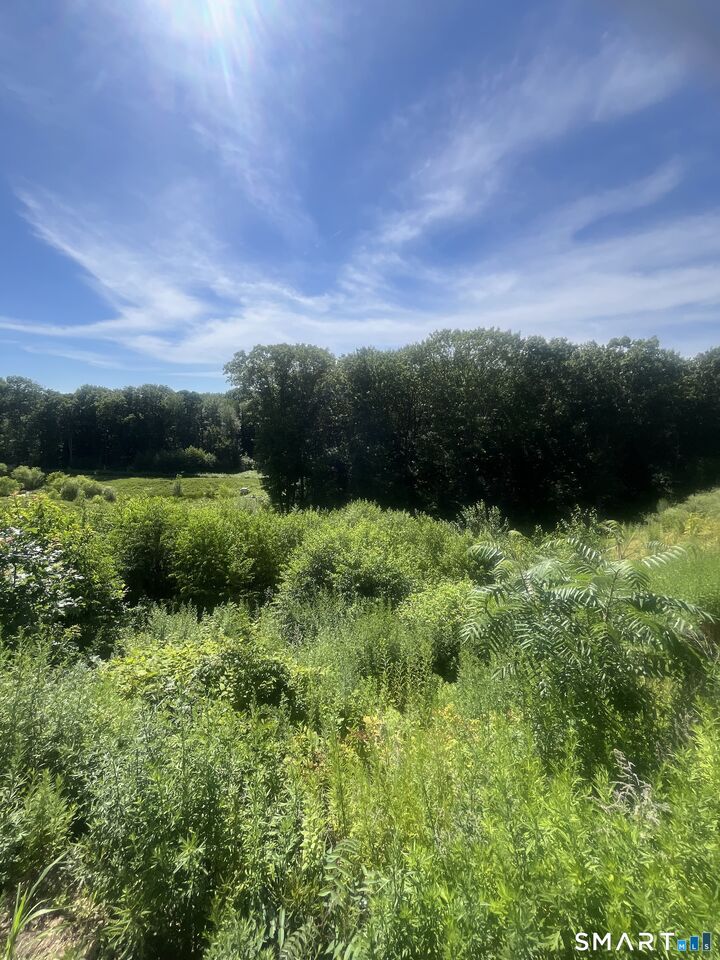 Property Photo:  123 Corbin Ridge  CT 06010 