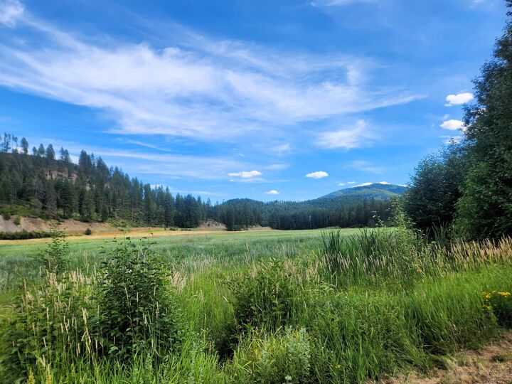 Property Photo: 942 Basin Rd WA 99114