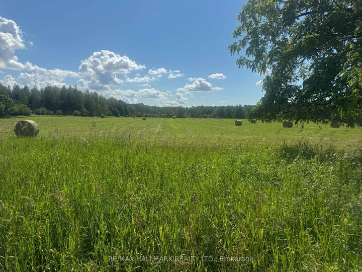 17236 Kennedy Road — photo 1