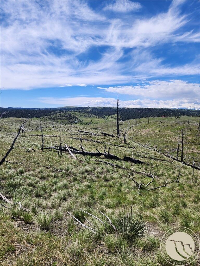 Property Photo:  Lot 201 Haystack Coulee Road  MT 59019 