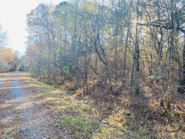 Property Photo:  Unk Black Gum Lane  AR 71953 