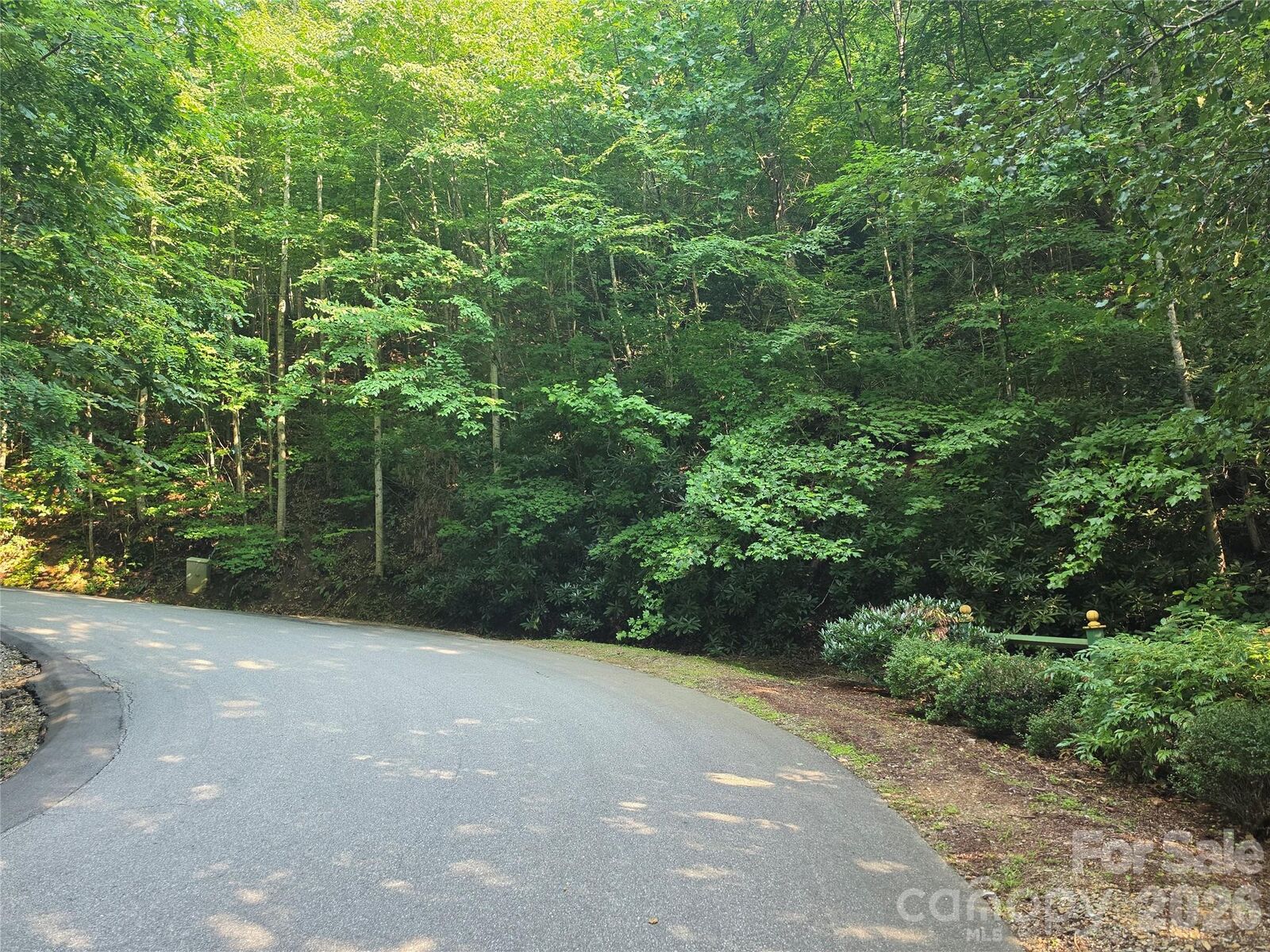 Property Photo: Tbd Henry Dingus Way 26 NC 28751