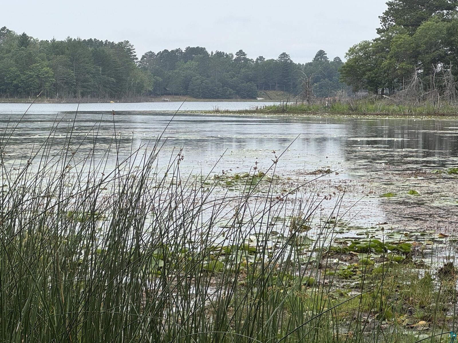 Property Photo: Xxxx S Loon Lake Rd WI 54873