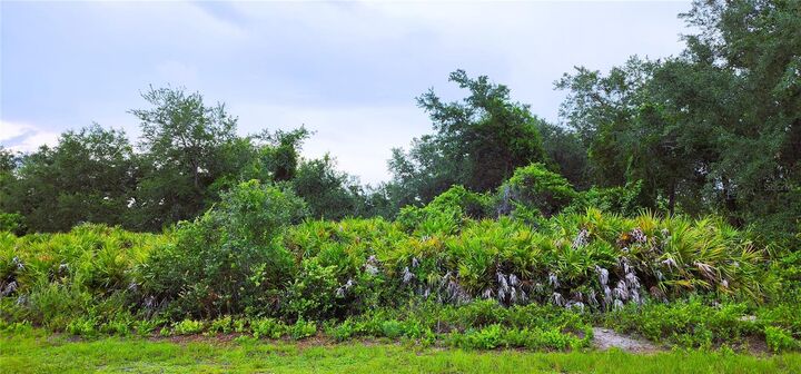 Property Photo: 12242 Bacchus Road FL 33981
