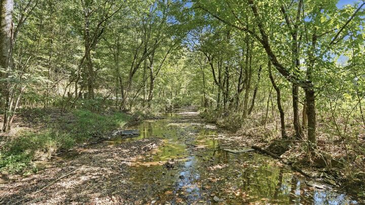 Property Photo:  0 Opossum Paw Road  TN 37018 