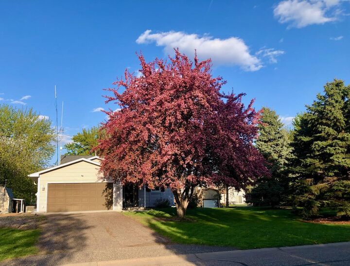 Property Photo:  7156 Brian Drive  MN 55038 