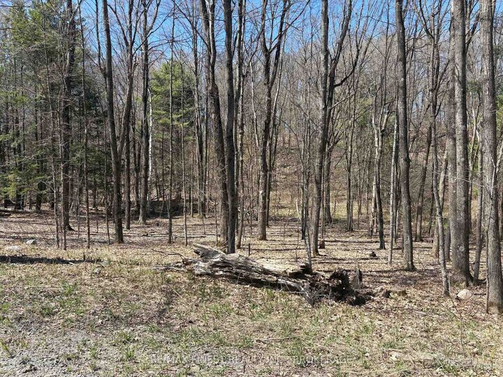 Property Photo:  Lot 2 Sweetfern Lane  ON K0H 1H0 