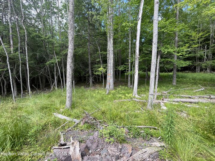 Property Photo: Tbd Boulder Brook Lot B14 NY 12496