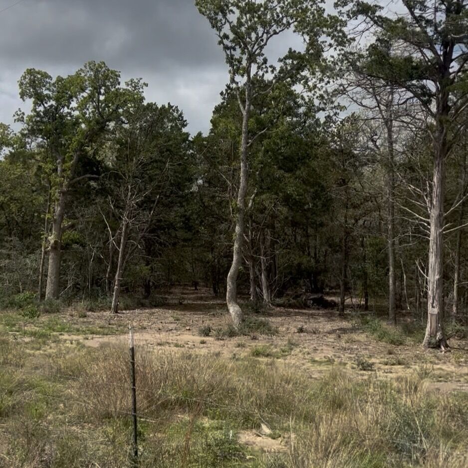 Property Photo: Lot 15 Antioch Road TX 78659
