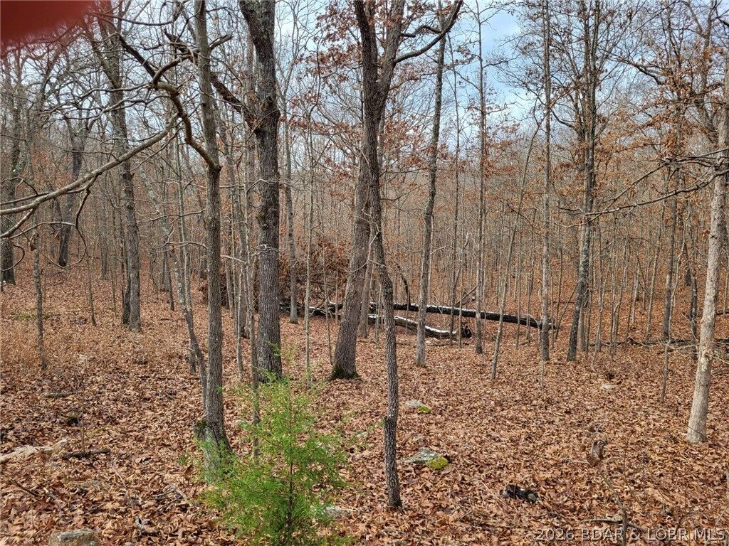 Property Photo:  Dunn Drive 1331  MO 65326 