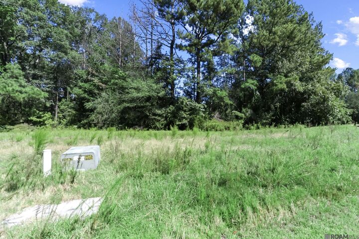 Property Photo: Lots 59 & 60 Oakley Ln LA 70775
