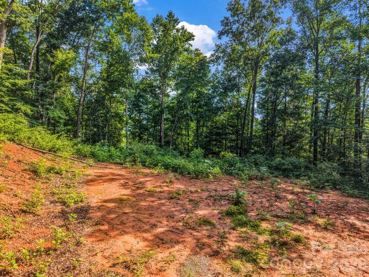 Property Photo:  00 Kema Road 6  NC 28778 