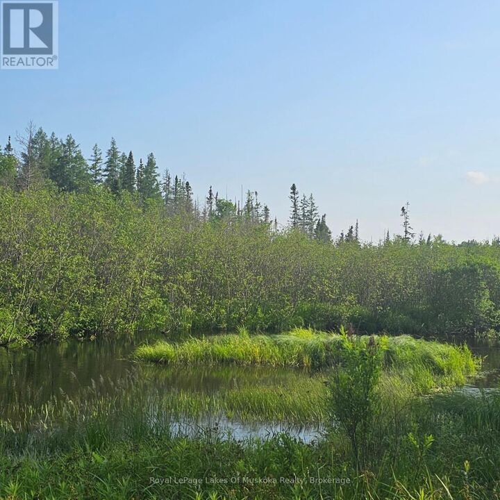 Property Photo:  95 Fish Lake Road  ON P1H 2J6 