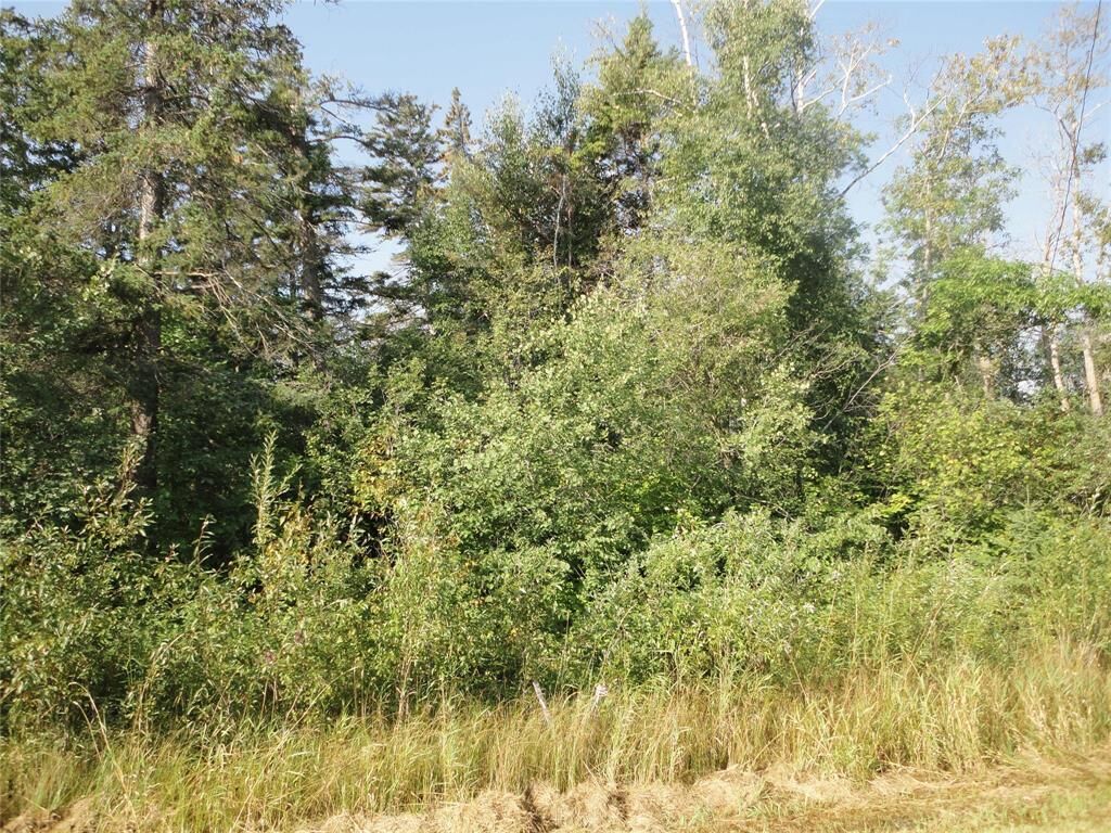 Property Photo:  0 Lakeshore Drive  MB R0C 0C0 