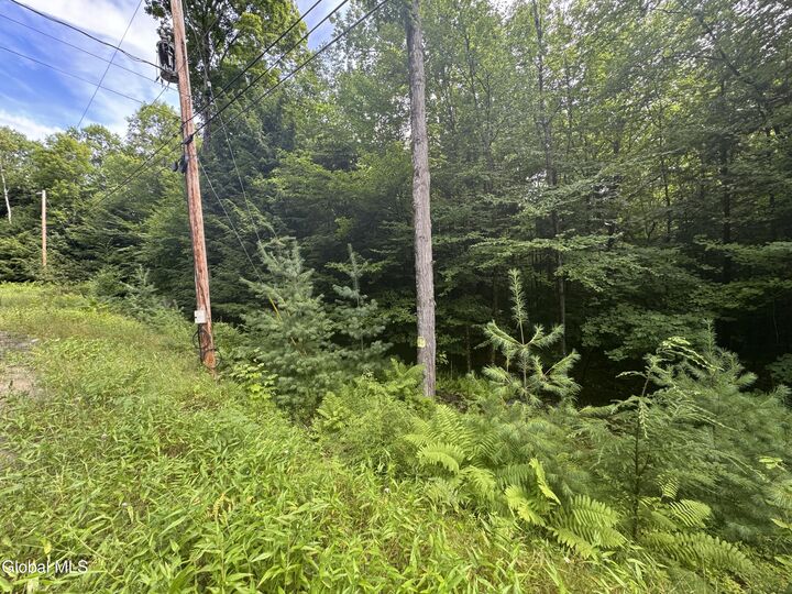 Property Photo: L52 Iroquois Trail NY 12853