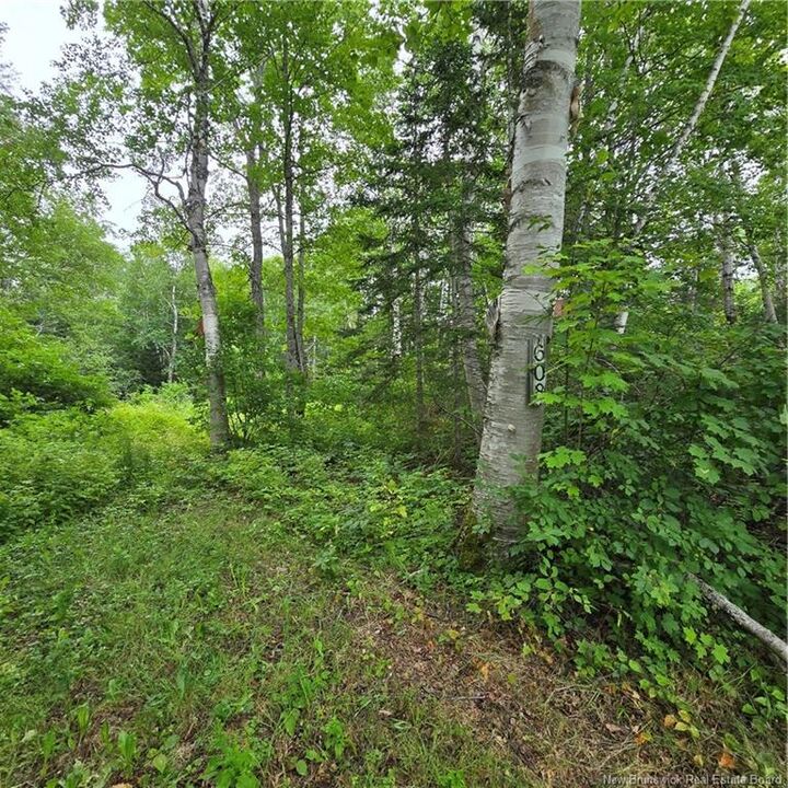 608 Rte 322 — photo 1