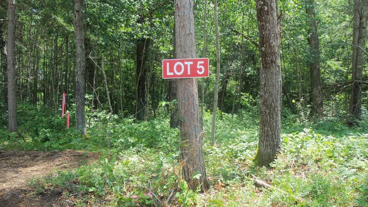 Property Photo:  Lot 5 Brch Tree Trl  WI 54801 