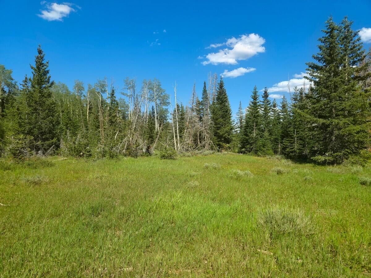 Property Photo: 2397 E Rainbow Ln UT 84719