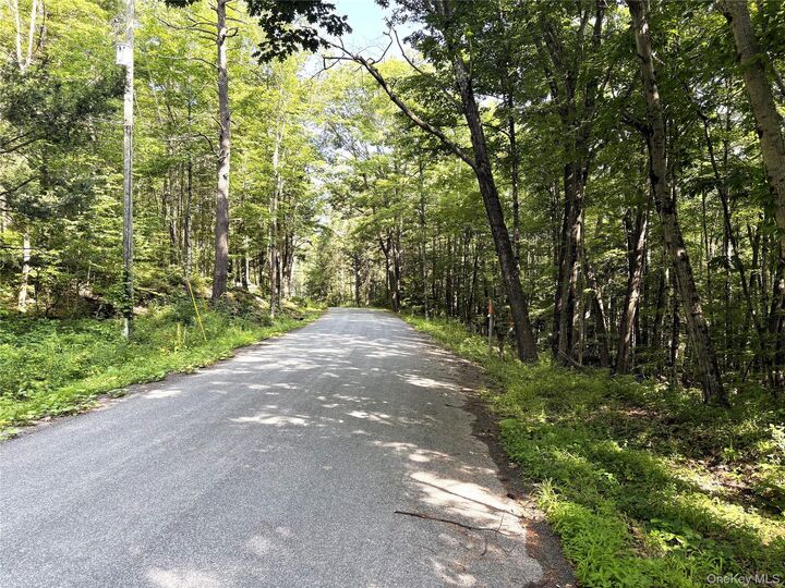 Property Photo:  Crescent Road  NY 12076 