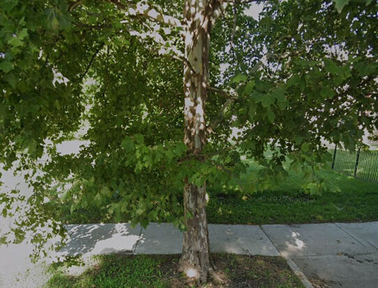 Property Photo: 6010 S Union Avenue IL 60621