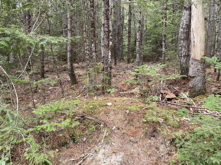 Property Photo: M39, L30d Jay Carter Road ME 04614