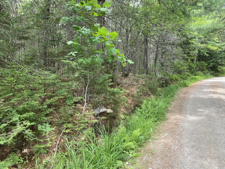 Property Photo:  M39, L30d Jay Carter Road  ME 04614 